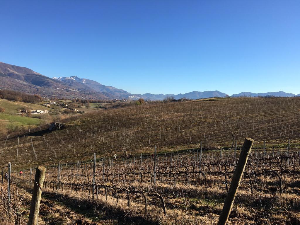Agriturismo Di Charme Erbadoro Alvito Eksteriør billede