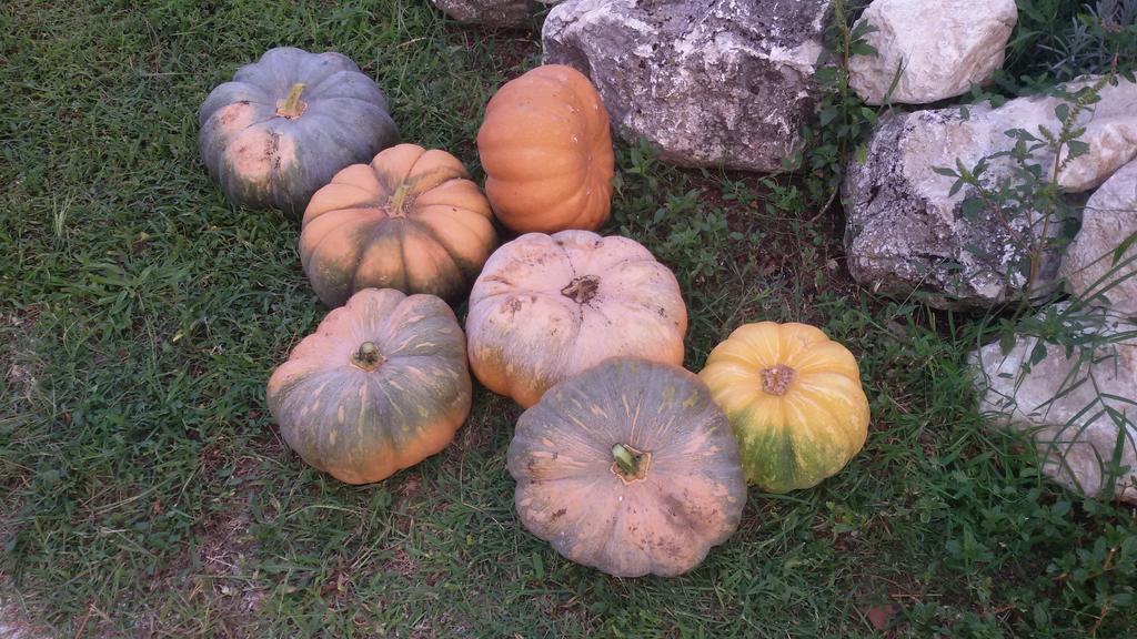 Agriturismo Di Charme Erbadoro Alvito Eksteriør billede