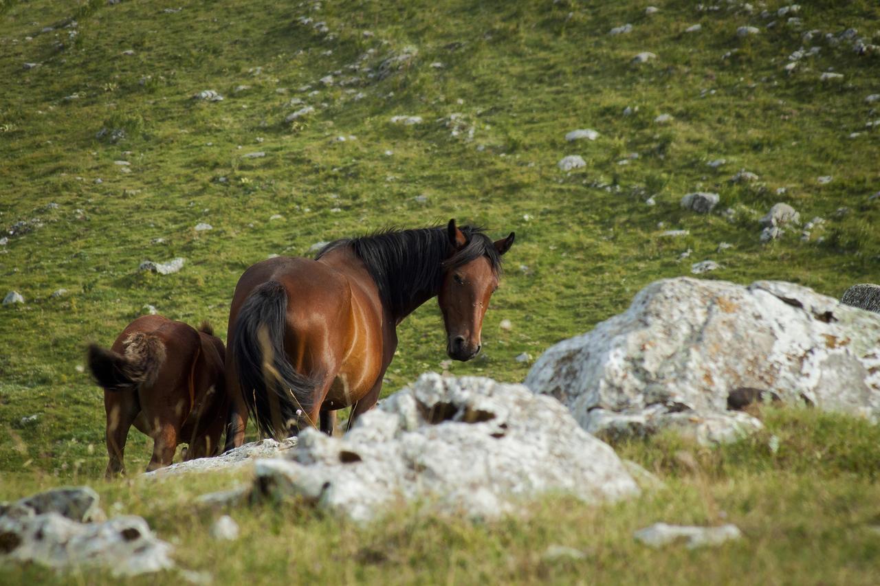 Agriturismo Di Charme Erbadoro Alvito Eksteriør billede