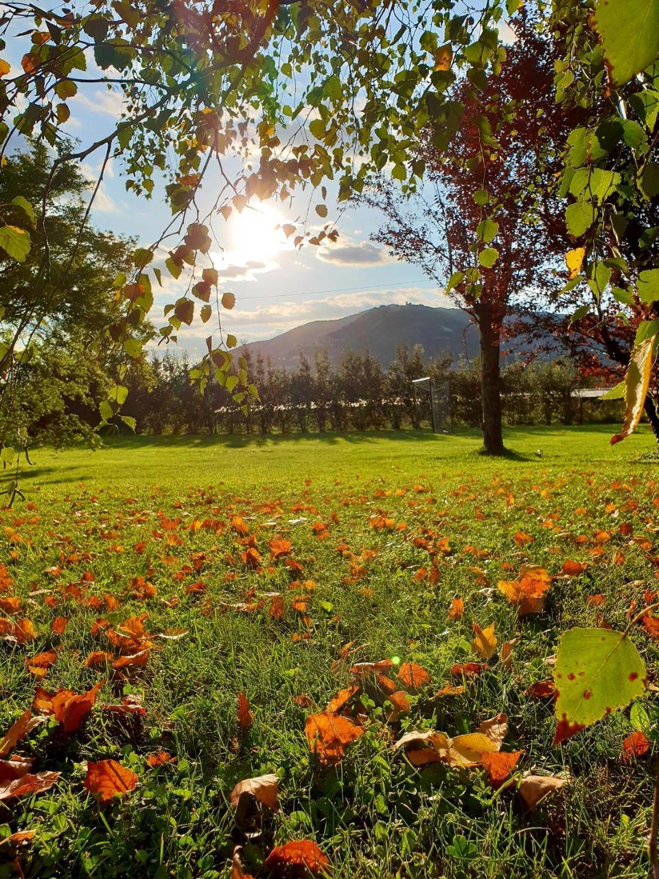 Agriturismo Di Charme Erbadoro Alvito Eksteriør billede